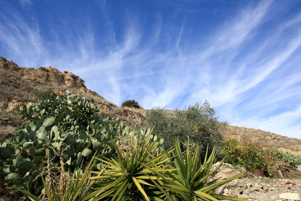 Sea View Apartments Pissouri Bagian luar foto